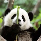 师傅，有妖怪