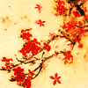 明天