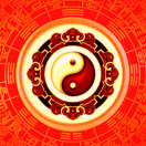 向阳花下一站