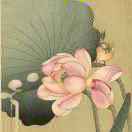    吾 爱  