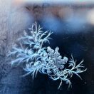 雪花