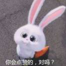 永恒之心DL