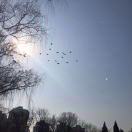 韩秀红