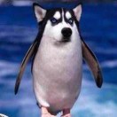 TR