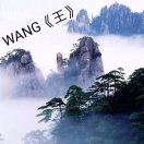 WANG《王》