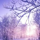 暮雪。