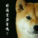 豪