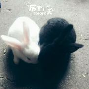 你太猖狂18