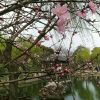 蓝じ☆枫