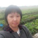 小芳