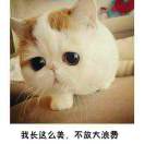 最后七秒