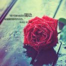 倔强丫头