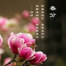 叶子 ????