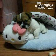 容颜是雯雯妈