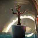 I am Groot