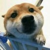 静壹
