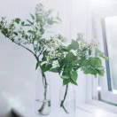 花开花落