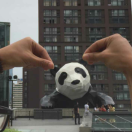 月是故乡明