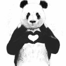吾皇จุ๊บ