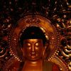 二零一五 新年好