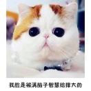 ベ墨城烟柳旧人殇ミ