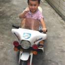 亮头