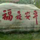 今天流的眼泪是昨天脑子进的水