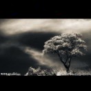 白慧明