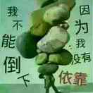 一切从领开始