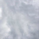 随风飘