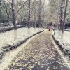 じ借你♡手暖我心@
