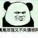 小灰儿