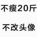 青哥儿