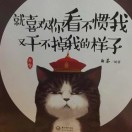 笨猫