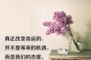 饼干