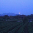 我是我wo shi wo♀