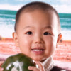 小小的太阳花