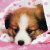 Eric_Ye_00129