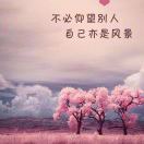 平淡是真