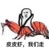 蟑螂-是小强 ✌