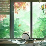节能环保少吃药