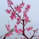 李学庆