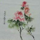 小露珠