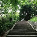 烟寒若雨