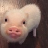 青春很棒啊！???