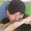 洞庭湖老麻雀