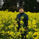 鄢瑞清