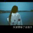 蝶为花醉，花随风飞