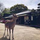 人非草木
