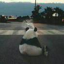 我